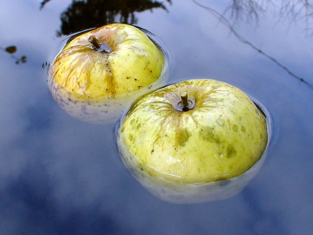 Photograph by Колесов Сергей