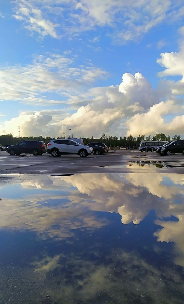 После летнего ливня