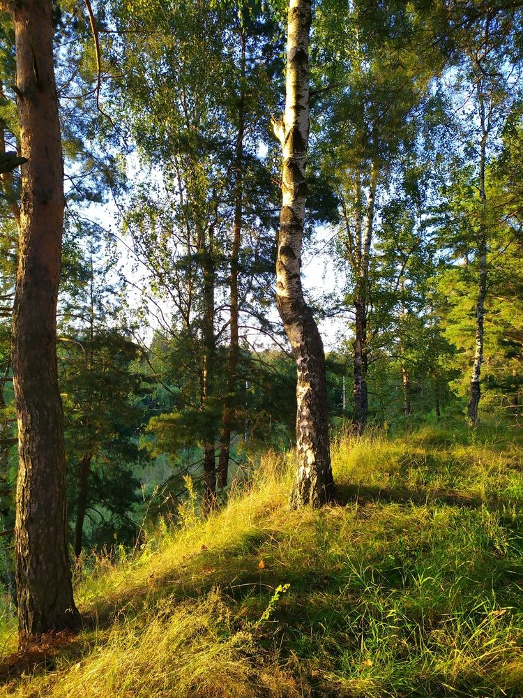 Photograph by Колесов Сергей