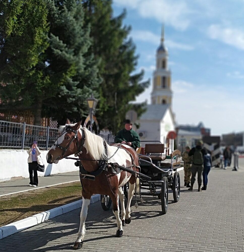 Photograph by Колесов Сергей