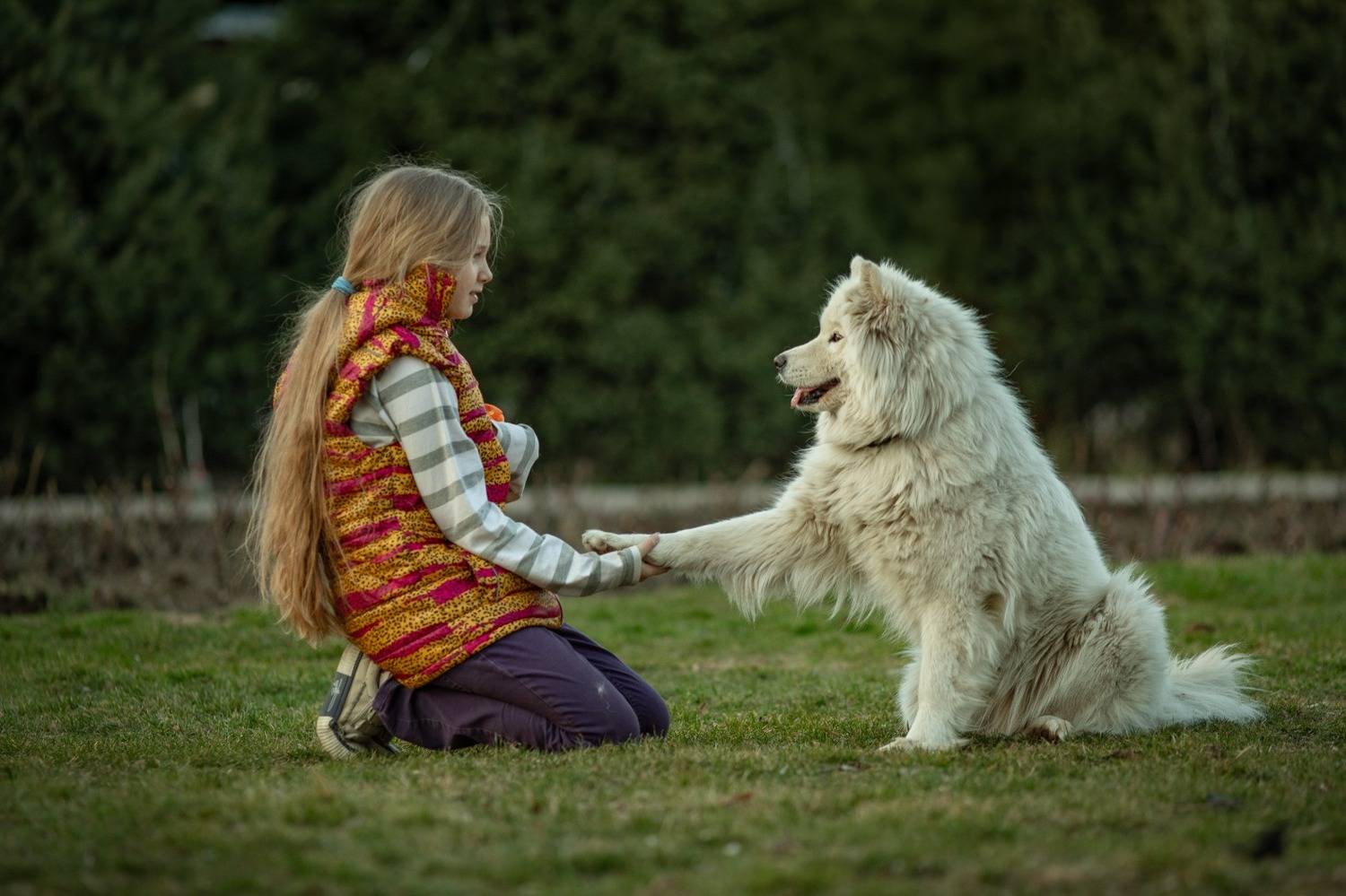 Фотография #12107990