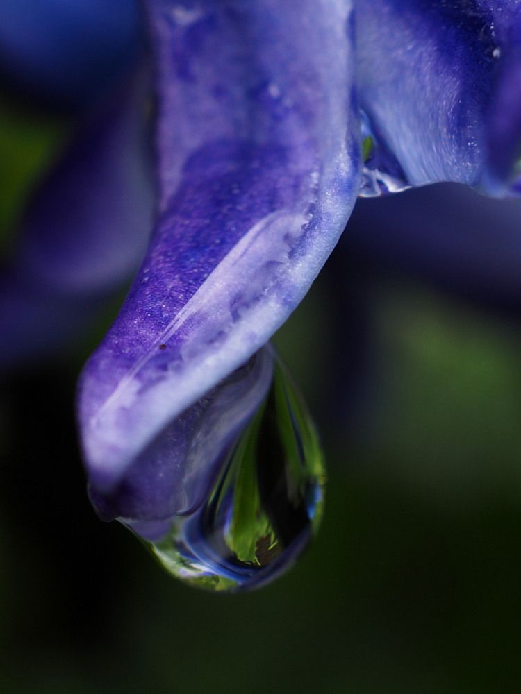 The colors of the Earth in a drops