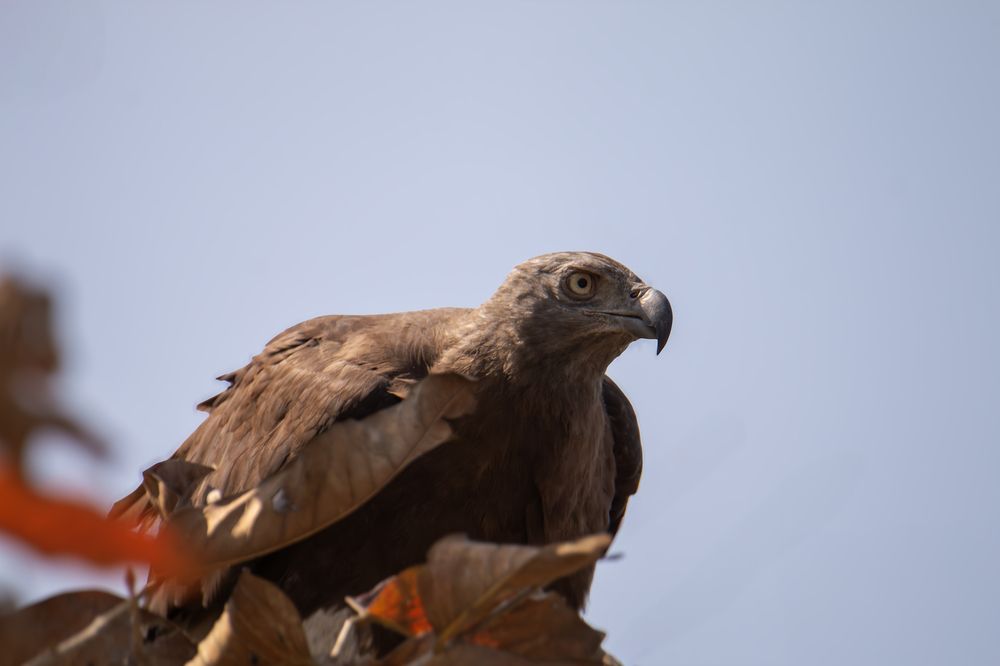 Photograph by Ayan Chakraborty