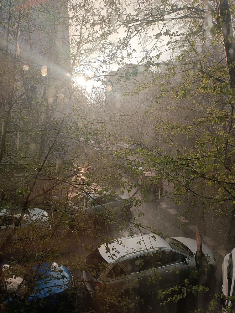 Photo #12108044