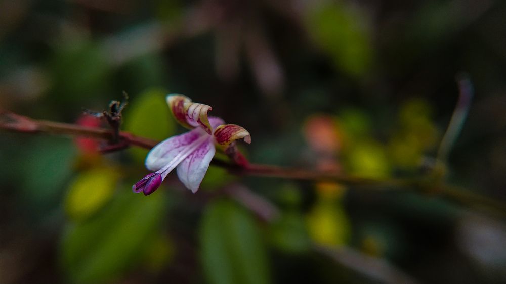 Photograph by Venu Peyyala