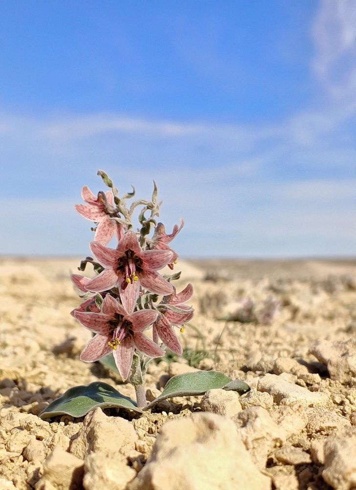 Photograph by Ольга Куцева