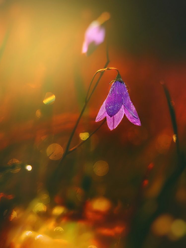 Photograph by Владимир