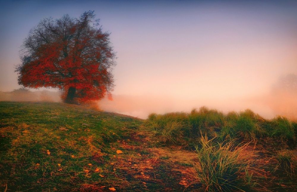 Photograph by Владимир