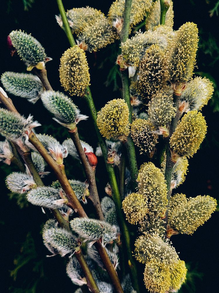 Photograph by Evgenia