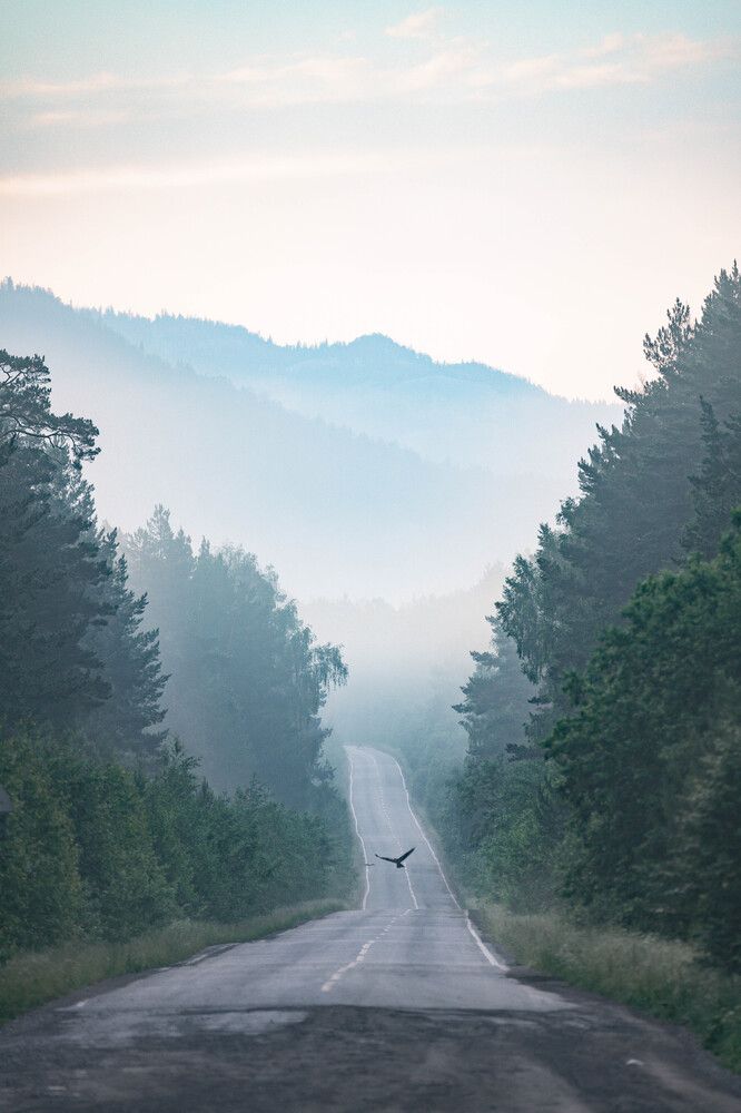 Photograph by Иван Кривоносов