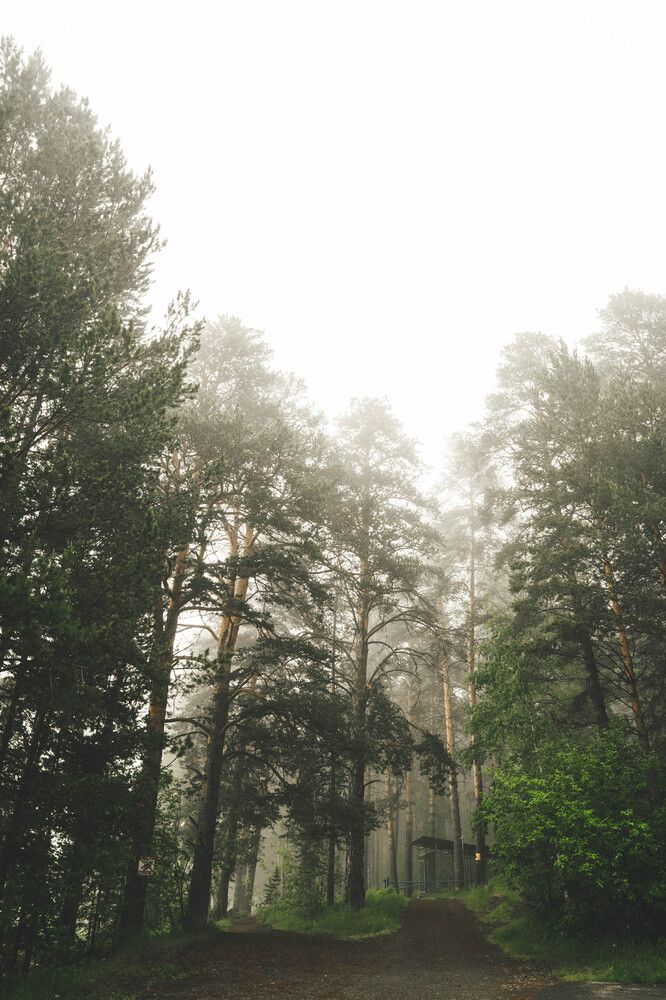 Photograph by Иван Кривоносов