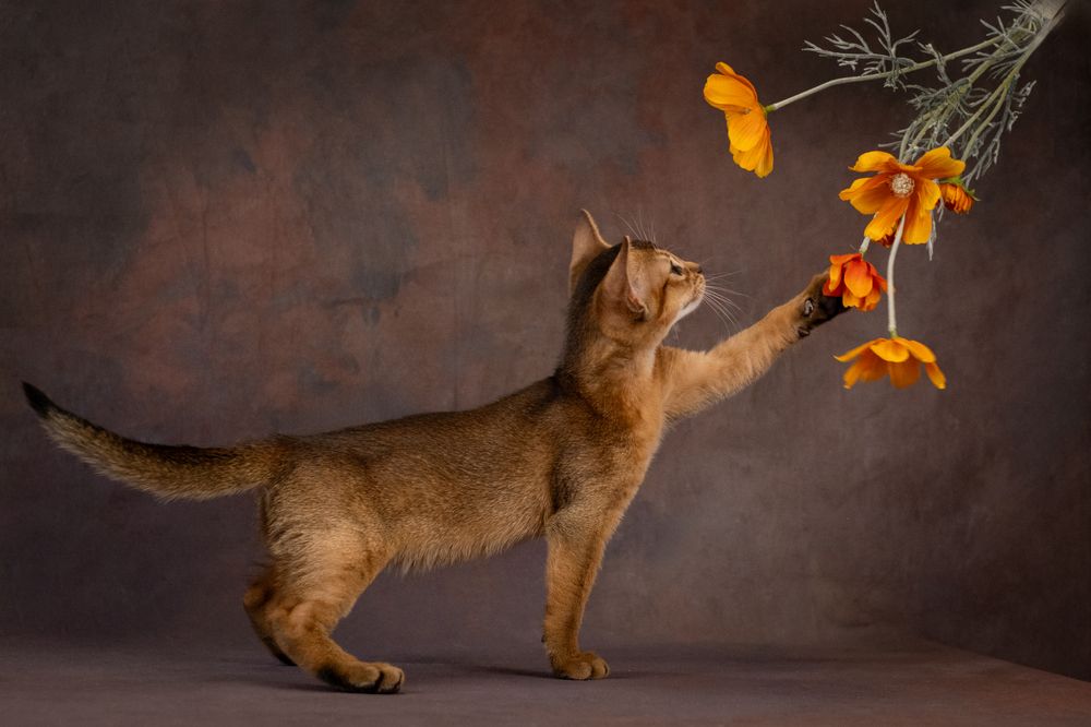 Photograph by Dina Damotseva