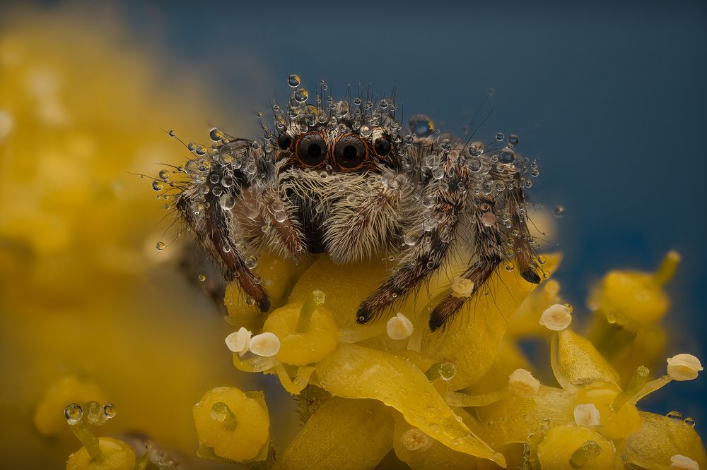 Photograph by Юрий Юрьевич Подгрушный