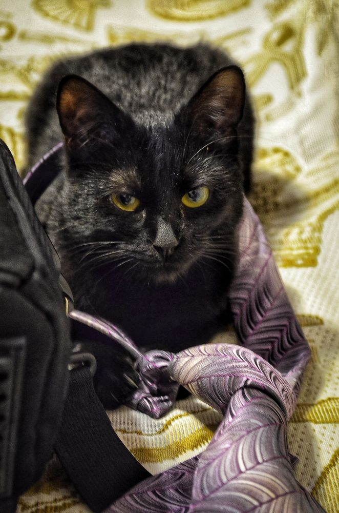 Photograph by Guseva Marina