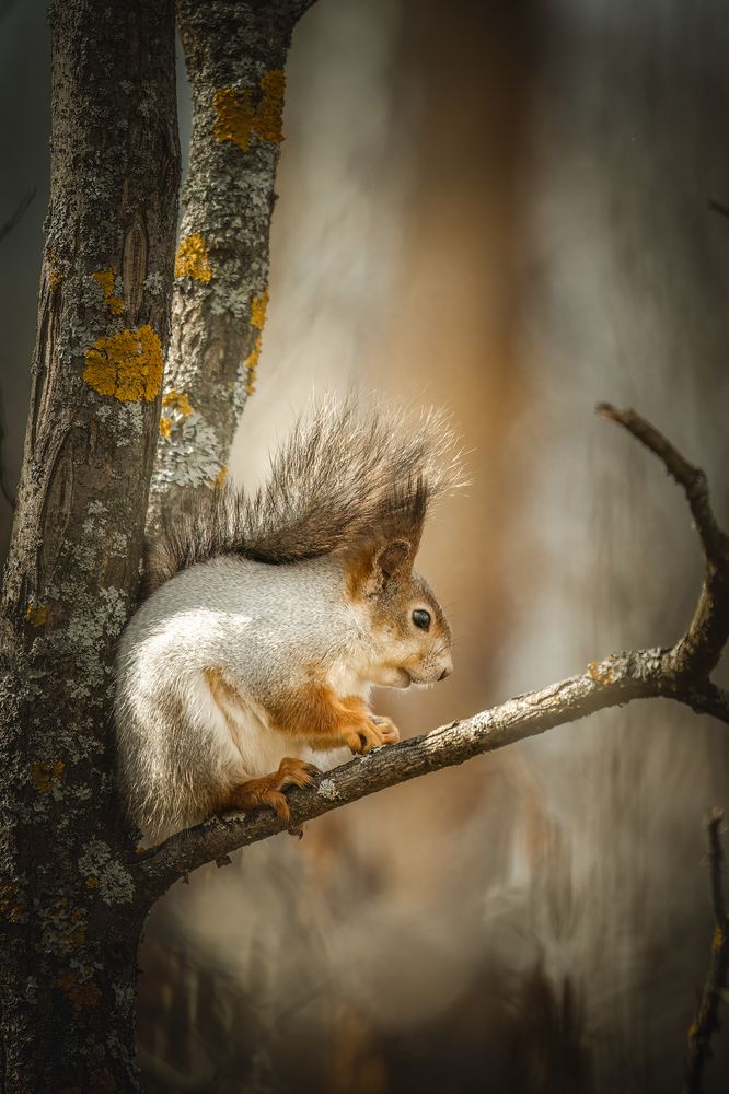 Фотография автора Aleksandr Solovev