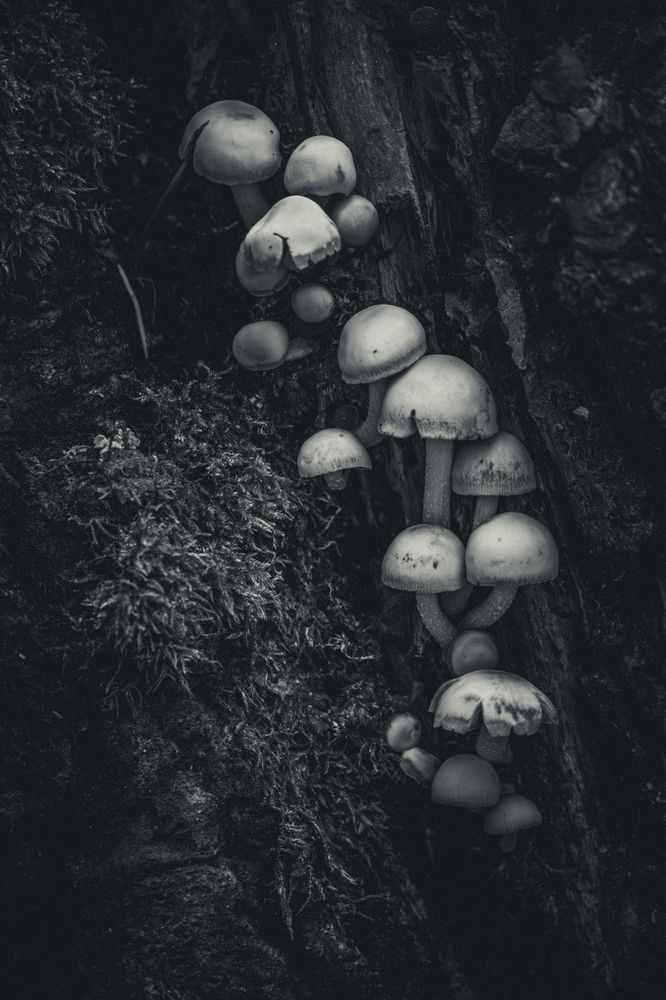 Photograph by Алексей Поликарпов