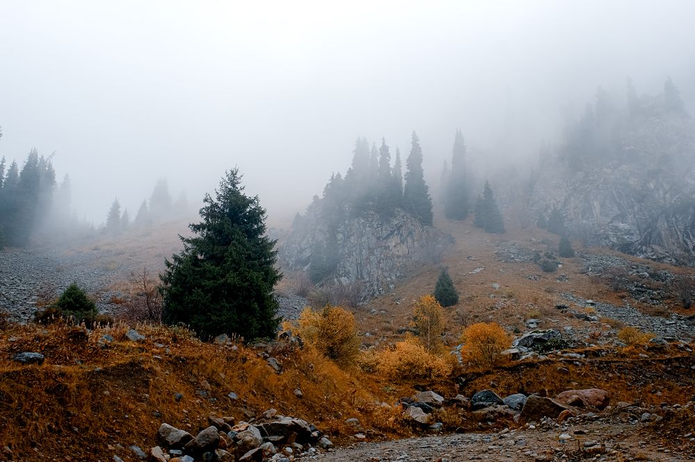 Photograph by Алексей Баженов