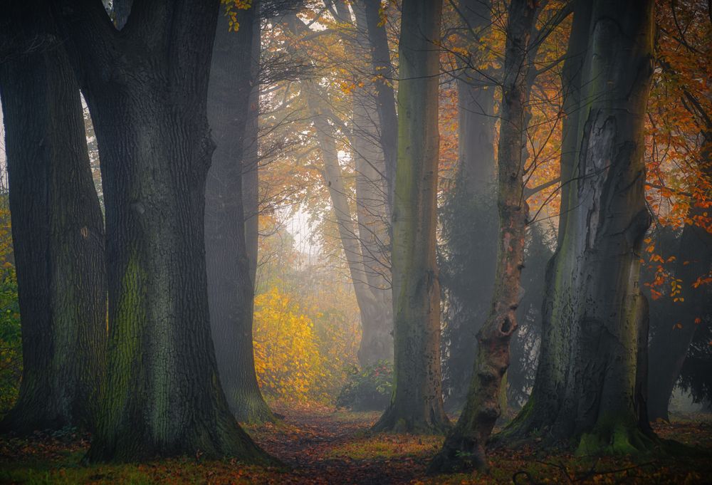 Photograph by Ожерельев Андрей