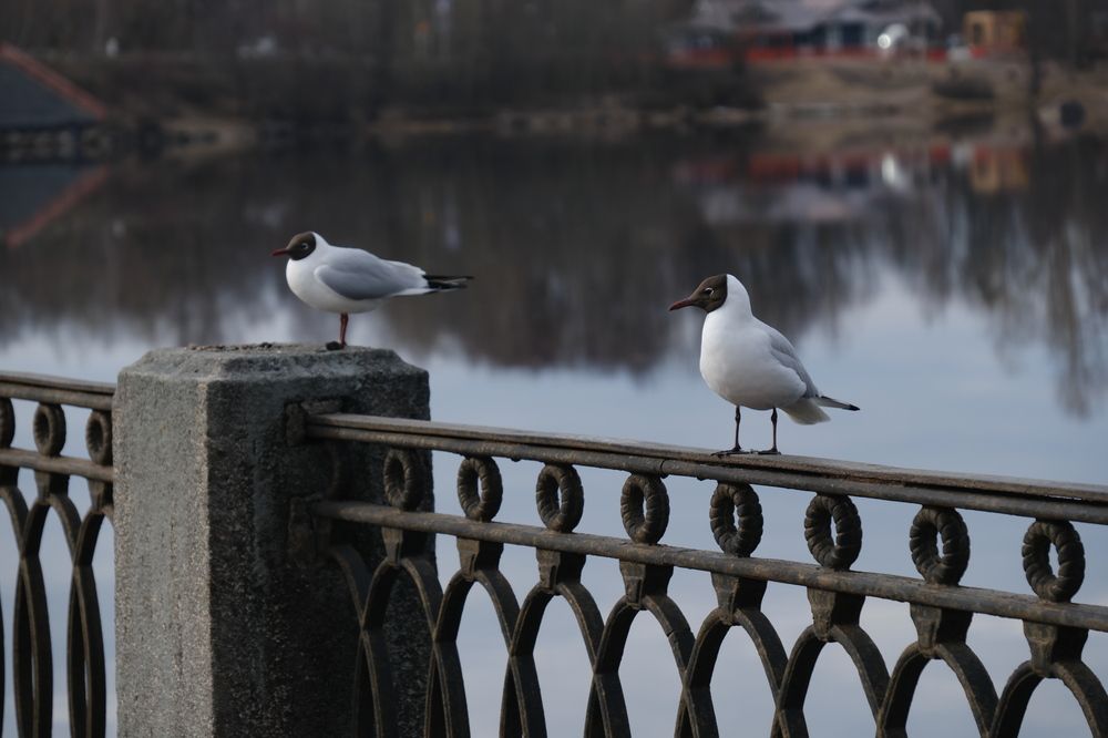 Photograph by Лариса Андреева