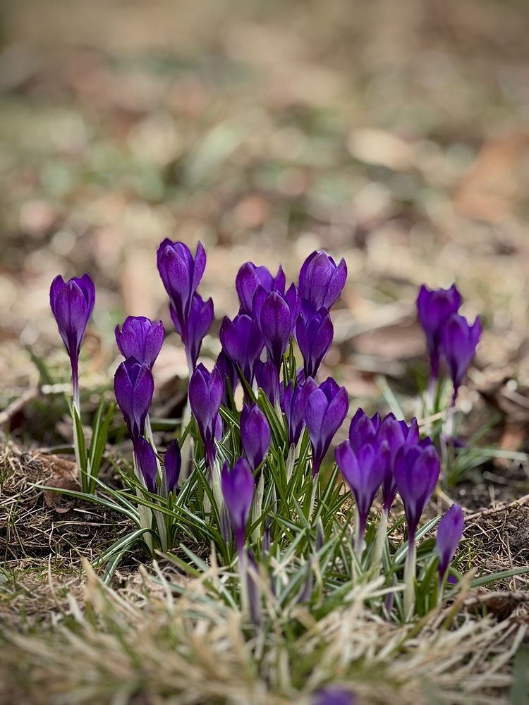 Photograph by Татьяна Смирнова