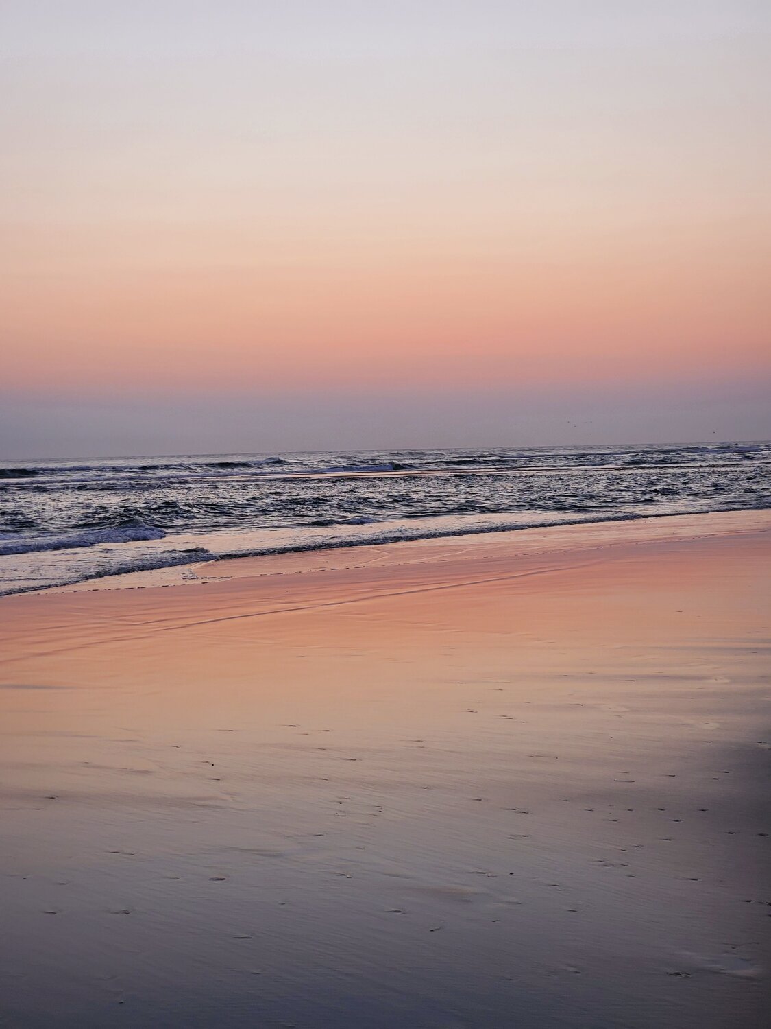 Photo #12108604