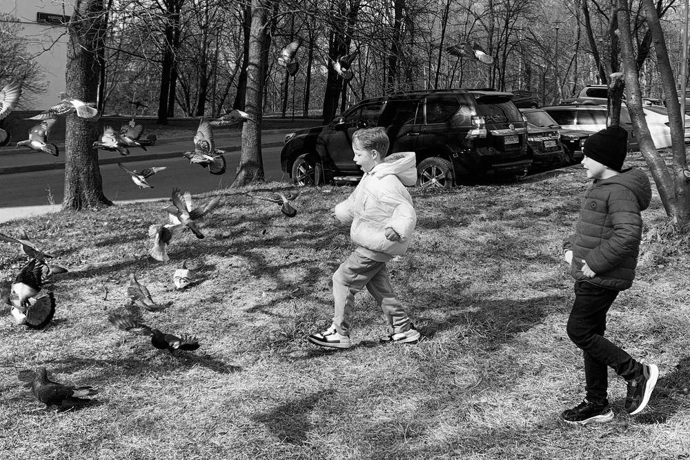 Photograph by Елена Чулюнина