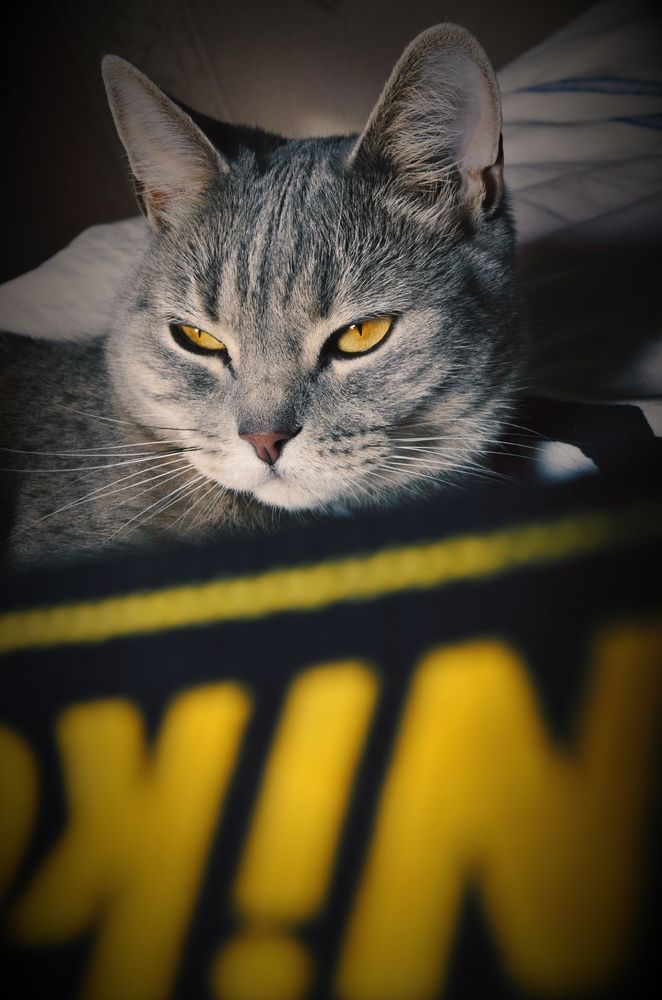 Photograph by Алена Самошина