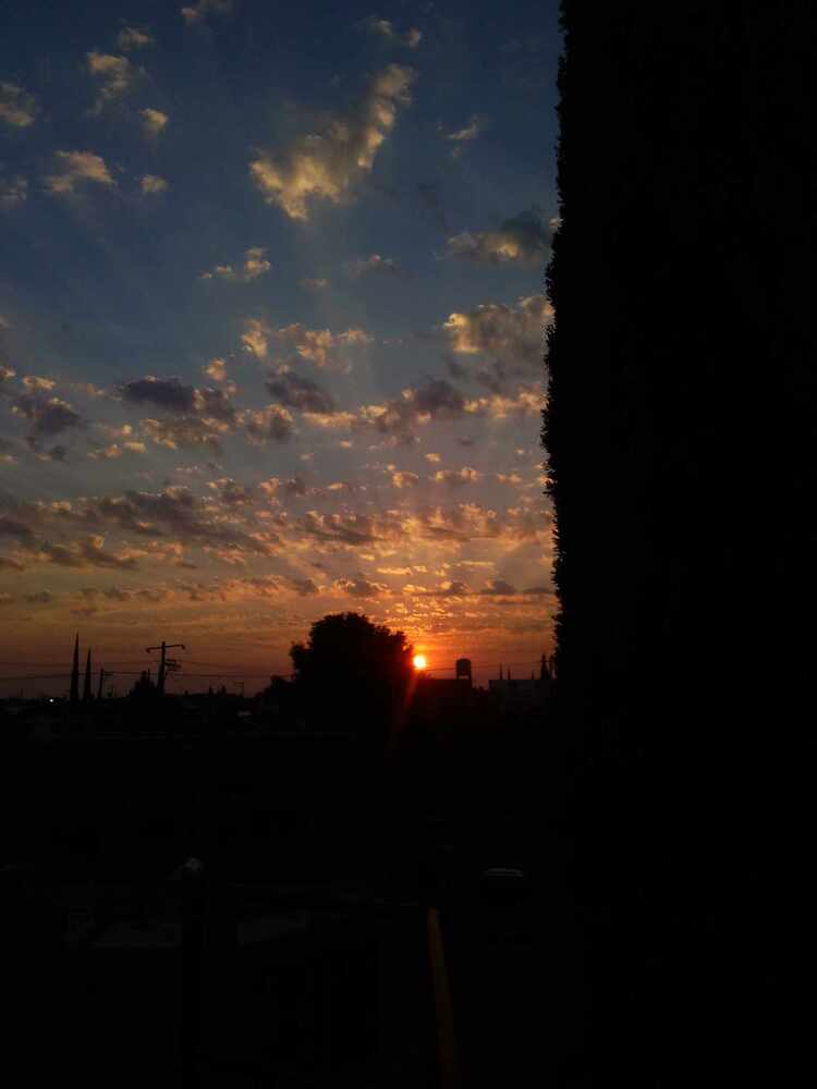 Photograph by Sofia Angeles Roman