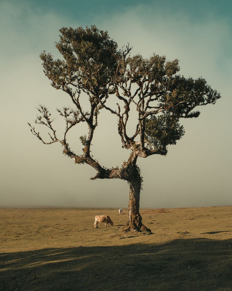 Photograph by Yana Bobrova