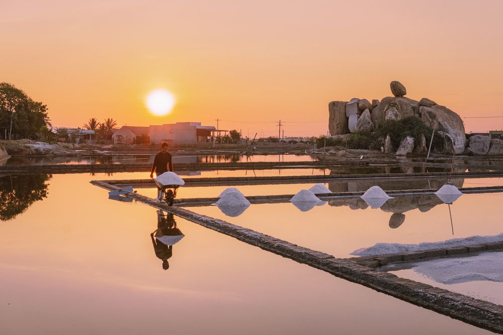 Photograph by Phong Lê