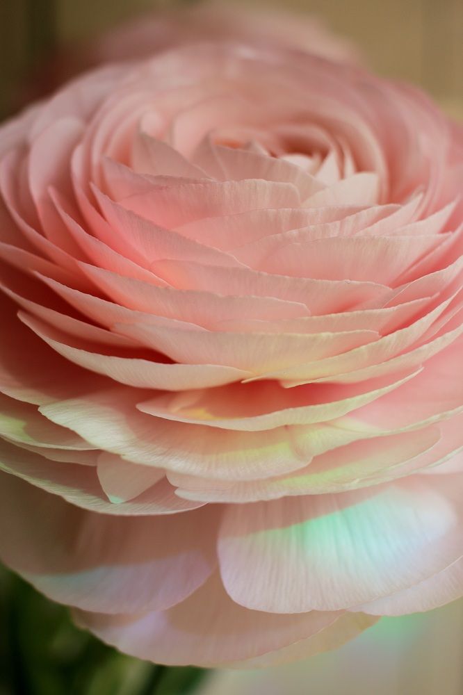 Photograph by Анастасия Свиридова