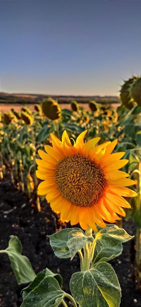 Photograph by Олег Карданов