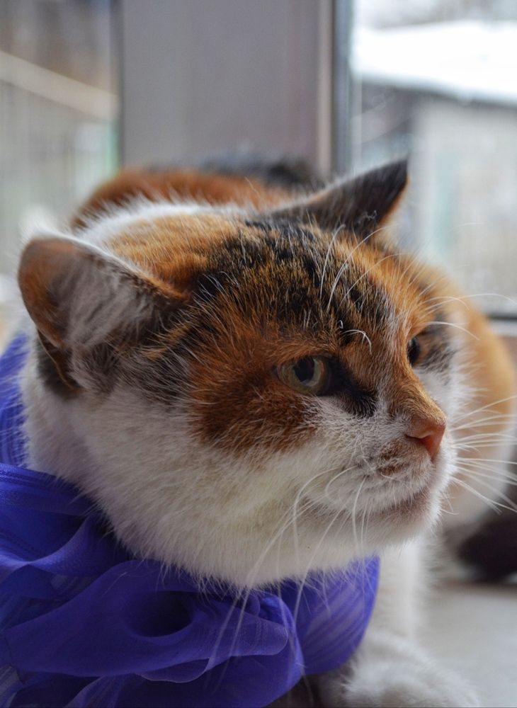 Photograph by Guseva Marina