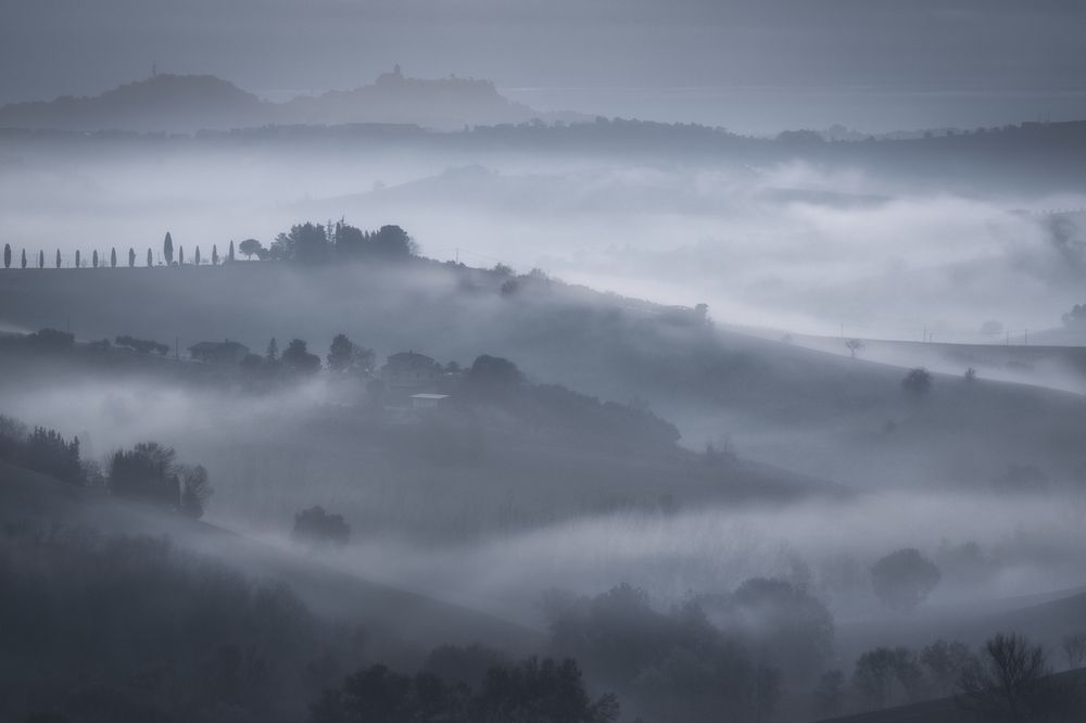 Photograph by Andrea Curzi