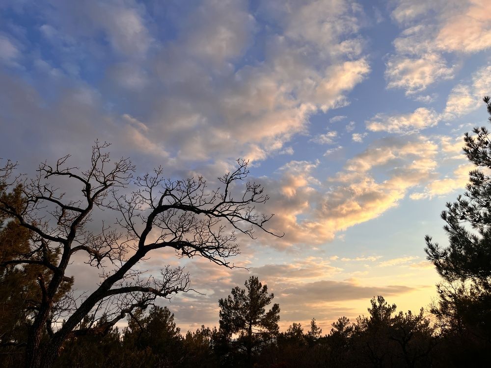 Photograph by Олеся Старицкая