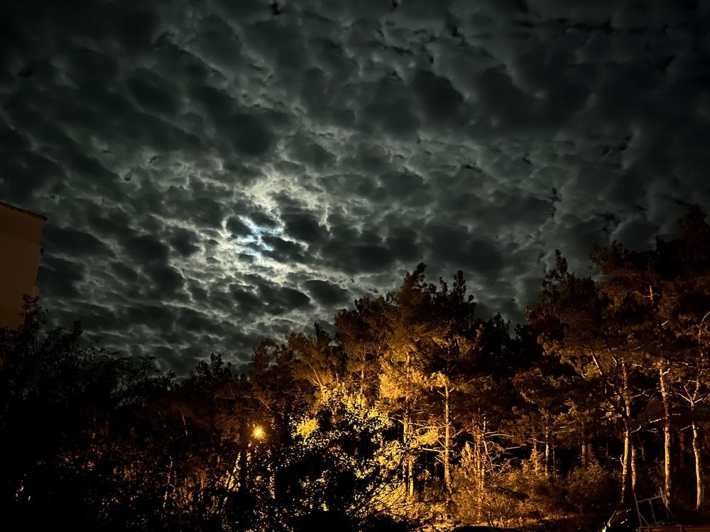 Photograph by Олеся Старицкая