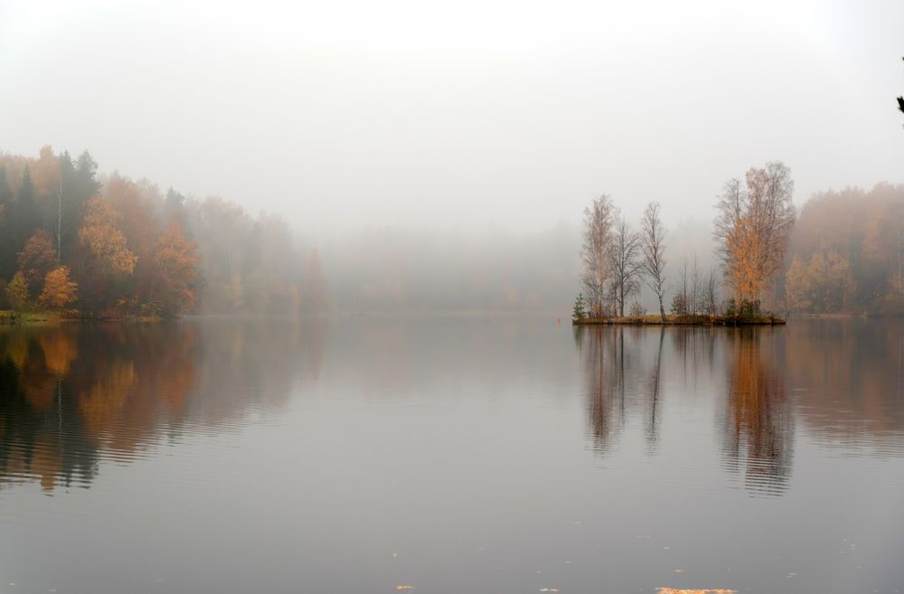 Photograph by Криволуцкий Вячеслав