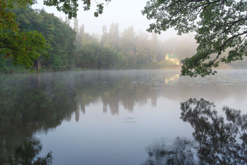 Photograph by Криволуцкий Вячеслав