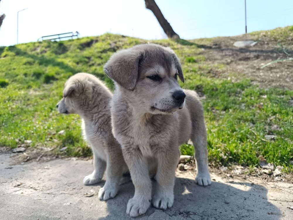 Фотография автора Владимир Ли