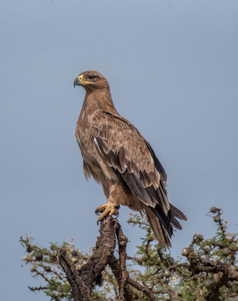 Photograph by Kevin kosgei