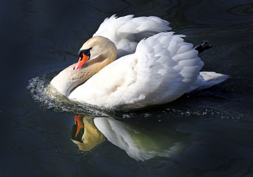 Photograph by Бибичков Михаил