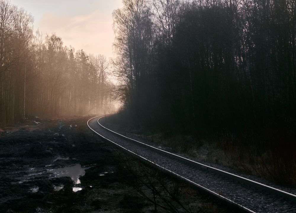 Фотография автора Денис Гарусов