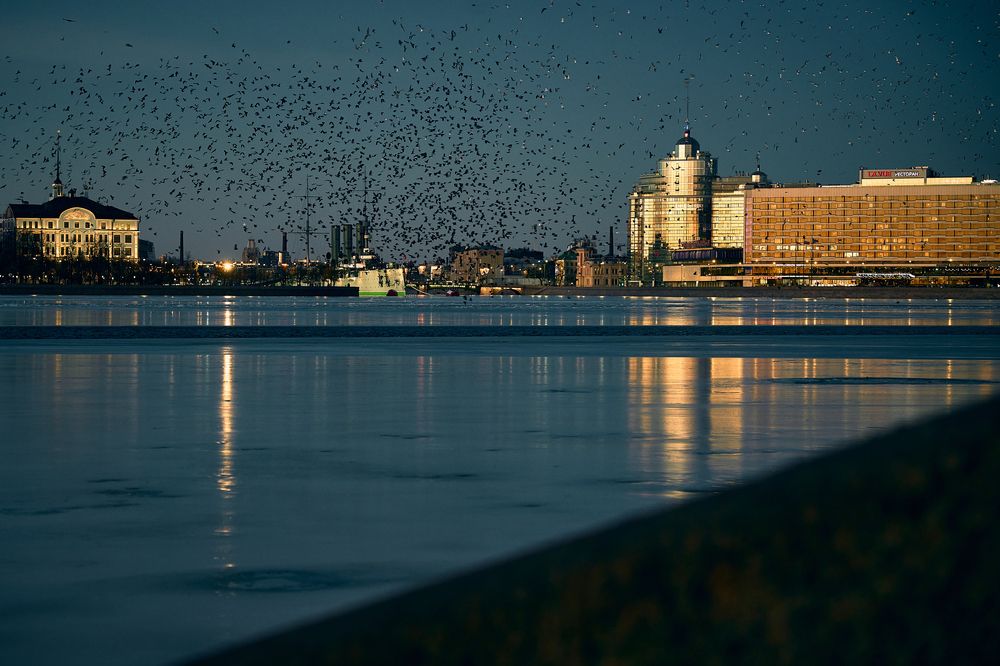Photograph by Денис Гарусов