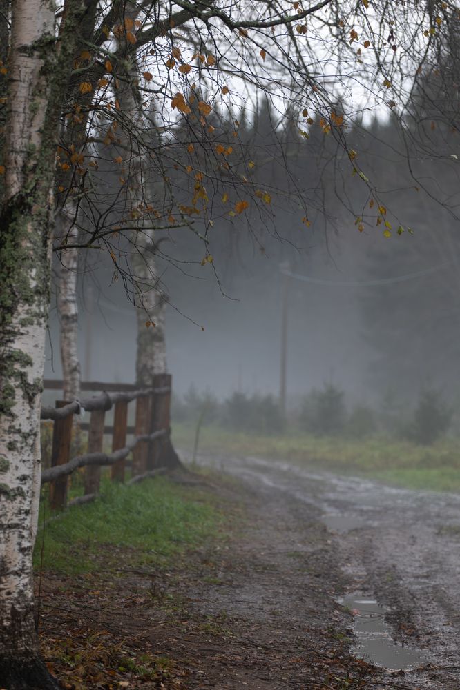 Photograph by Криволуцкий Вячеслав