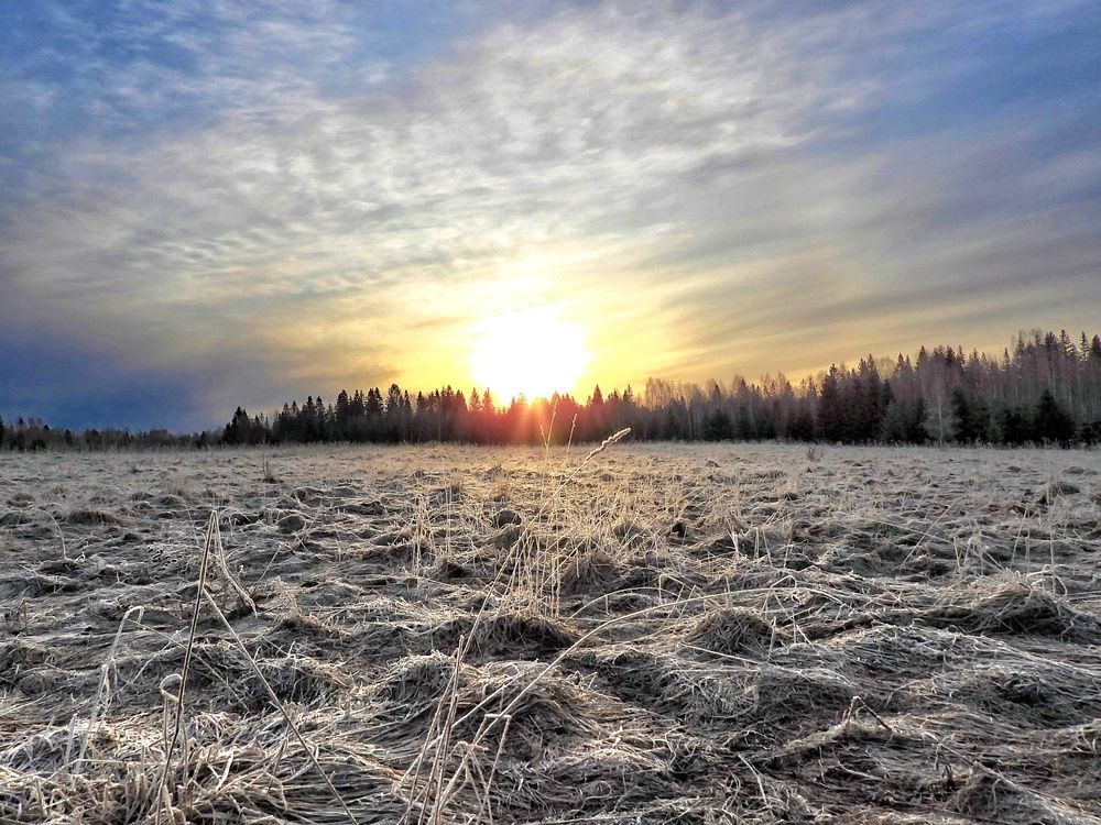 Photograph by Александр Шаварин