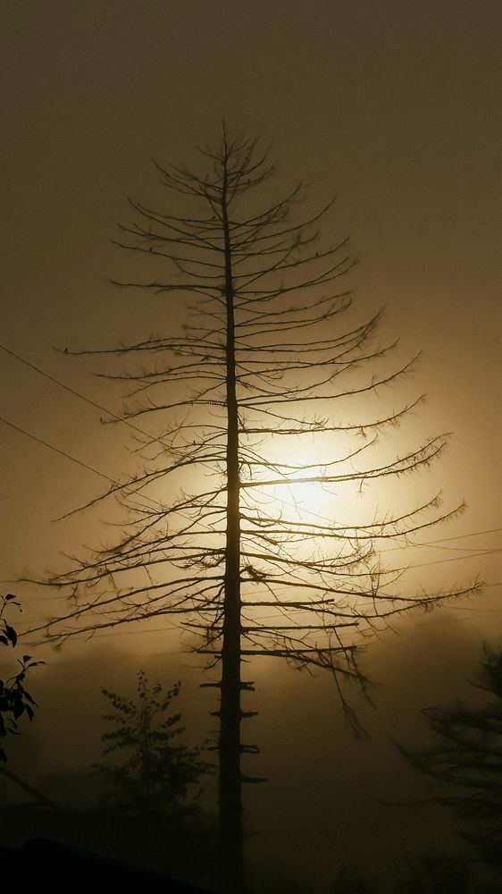 Photograph by Юлия Усольцева