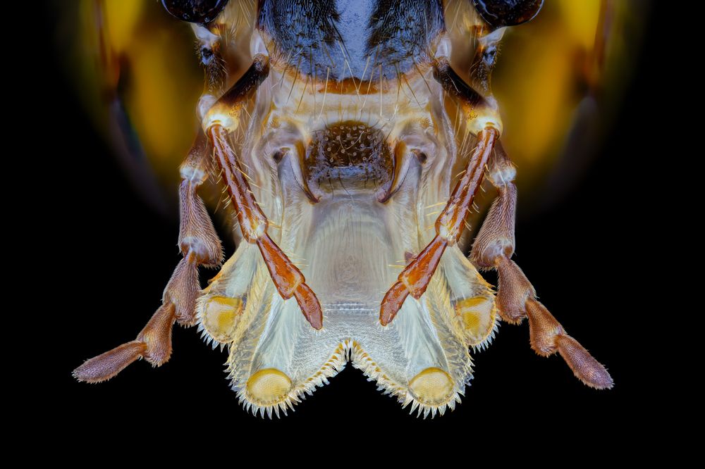 Photograph by Thorben Danke