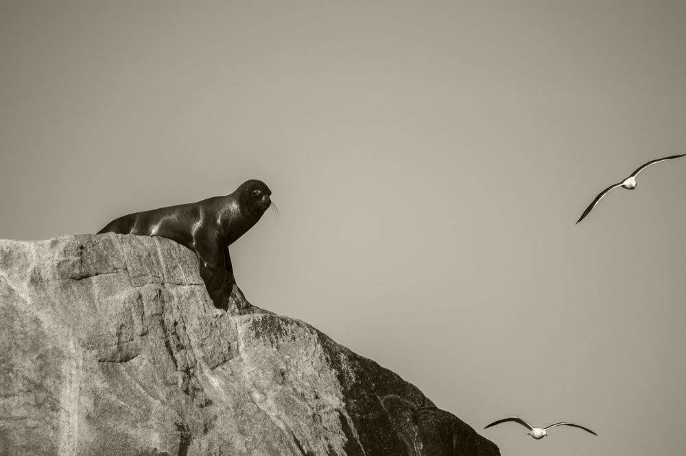 Photograph by lukas letelier hernandez
