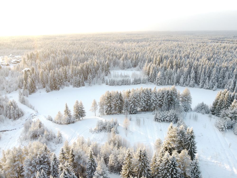 Photograph by Сергей Трембач