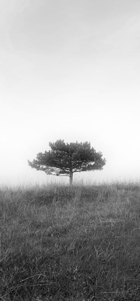Photograph by Мариам Акопян